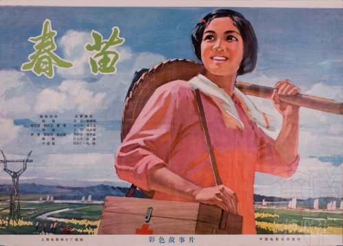 公立鳥取環境大学 Diploma